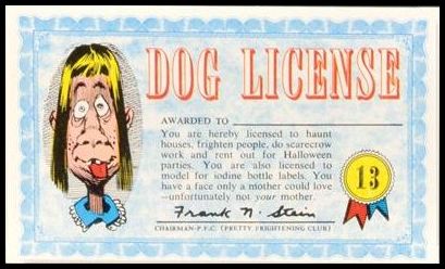 64TNA 13 Dog License.jpg